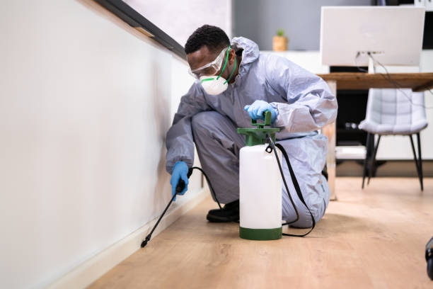 Best Fumigation Services  in Aquebogue, NY